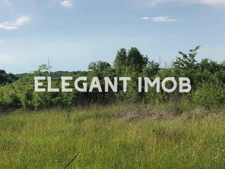 Teren cu pret foarte bun - 1