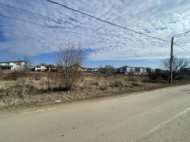 Domnesti, Teghes, teren in suprafata de 21278mp, deschidere 41ml, gaz si curent. - 3