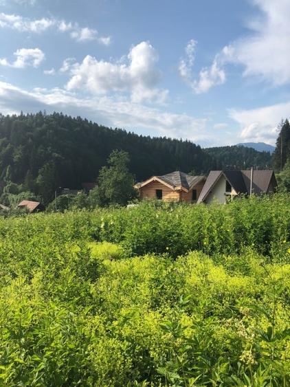 Teren Intravilan Predeal - 1