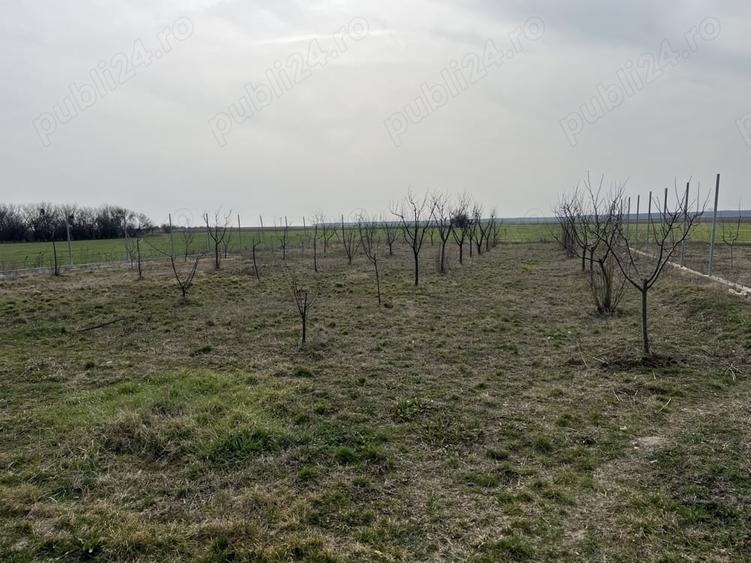 Casă cu 6 camere cu Teren 2000 Mp în Uliești