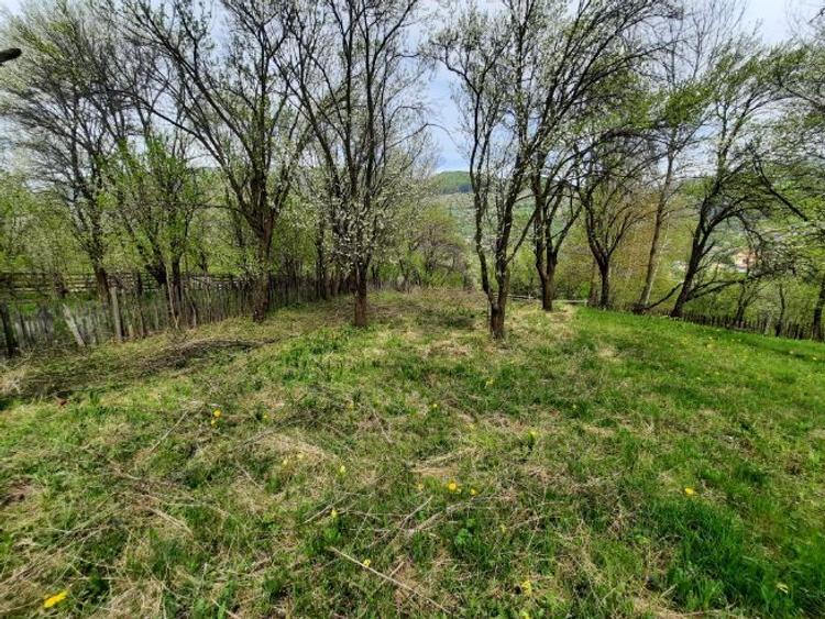 Teren intravil, VDRusu, Construcții, Investitie, La princip, Acte OK, Certif Urbanism  - 8