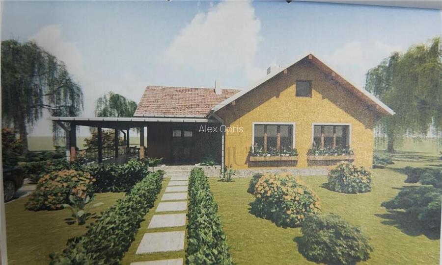 Casa la rosu - proiect deosebit- teren in concesiune Casa la rosu - proiect deosebit- teren in concesiune