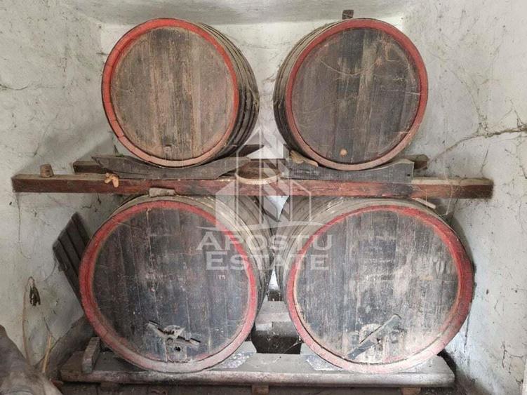 Casa individuala cu 3 camere ,teren 4222 mp in exclusivitate Dorobanti - 11