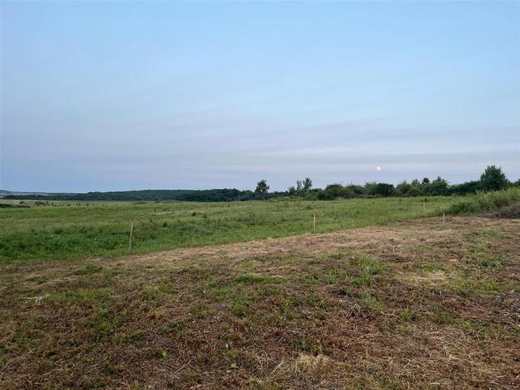 RECO Teren in Paleu 903 mp, acces rapid din Saldabagiu de Munte - 8