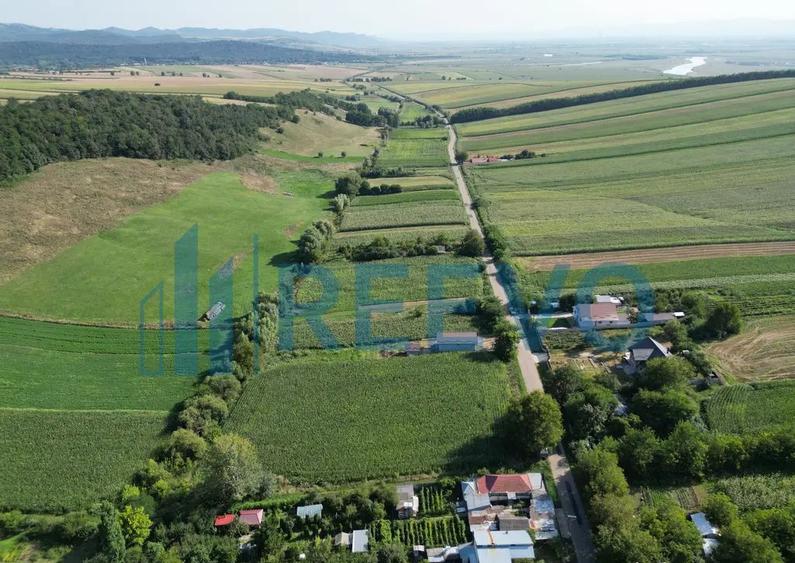 Teren intravilan de vanzare, Sat Bogdan?ti, Com. Traian - 5