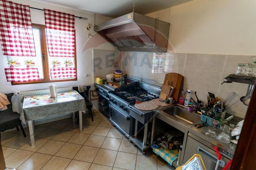 Vila/Pensiune de vanzare Bacia,jud.Hunedoara - 18