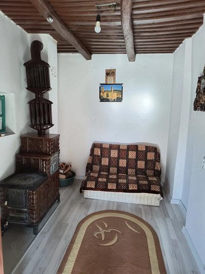 Casa de vanzare la tara - 10