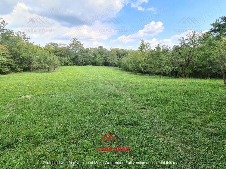 Teren intravilan in Poiana Campina--3287mp--10e - 7