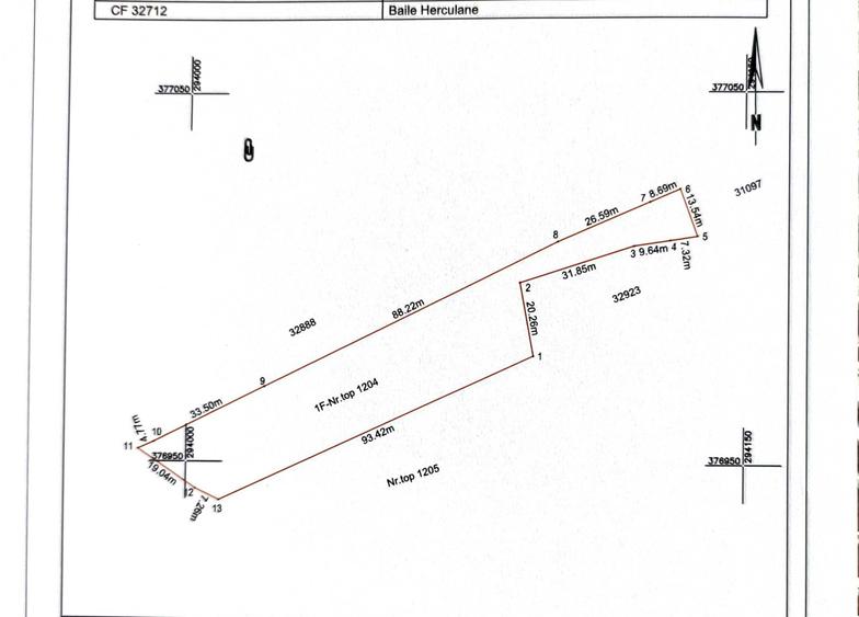 Teren de vanzare Baile Herculane 2877 m2 - 2