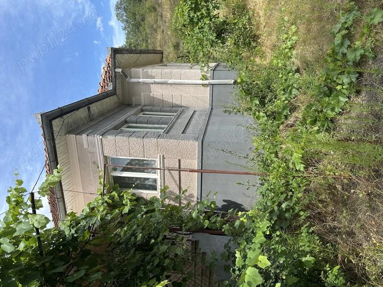 Vand casa taraneasca cu 8000 mp gradina - 2