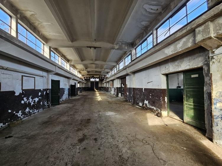 Vanzare amplasament industrial-servicii Tatarasti, Teleorman - 16