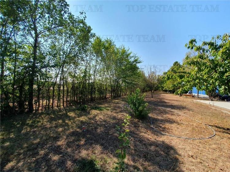 Teren intravilan agricol si teren curti constructii Lot 2 Parcela A326/49 - 14