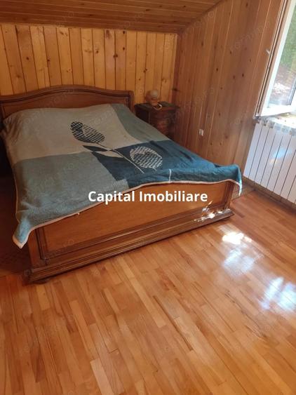 Vila superba 7 camere, Provita de Jos, 22.000 mp teren - 13