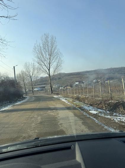 Teren de vanzare URLATI - 1