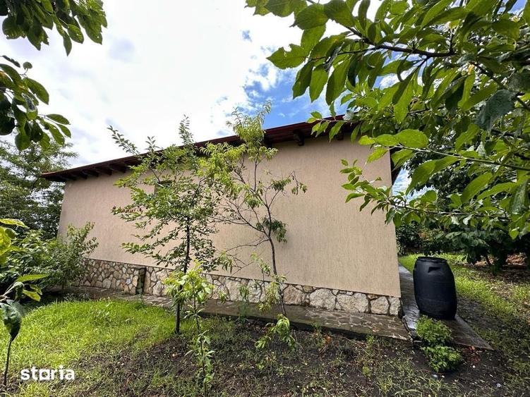 Casa parter com Pietroasele , pe dealul Istrita - 2