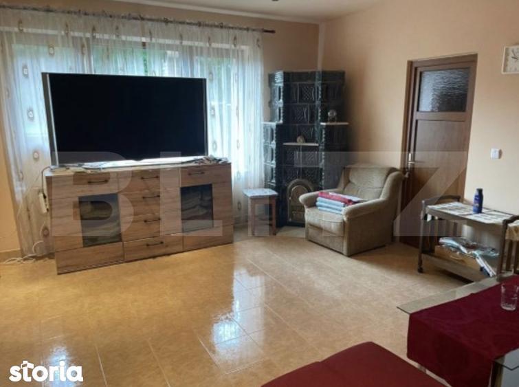 Pensiune deosebita in inima Muntilor Dacici investitie premium in - 4