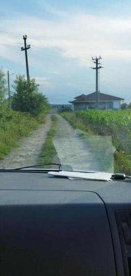 Catalina, 39 ari teren - 1