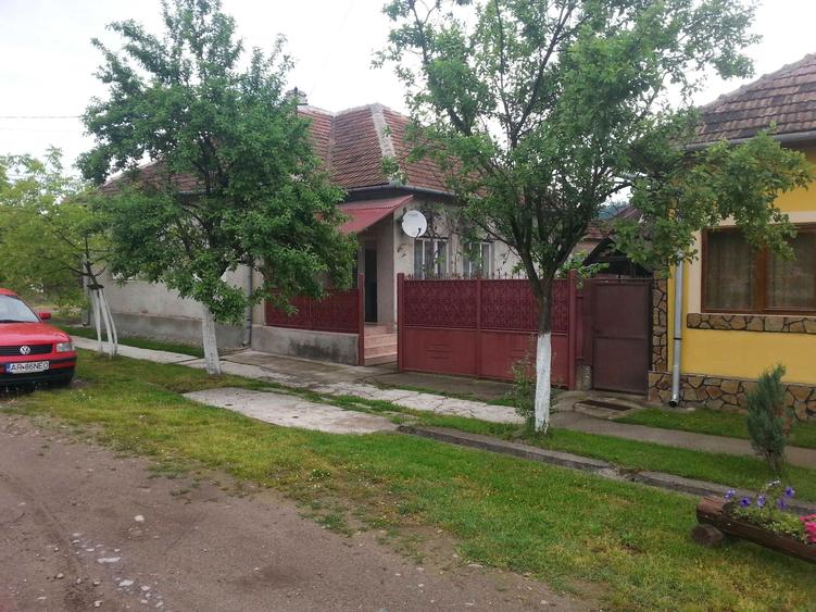 Casa in Gurahont - 1