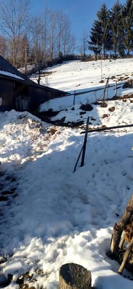 Vand casa batraneasca locuibila, in zona de munte, Apuseni&Teren Pret:3euro m 6400m, com. Scarisoara - 8