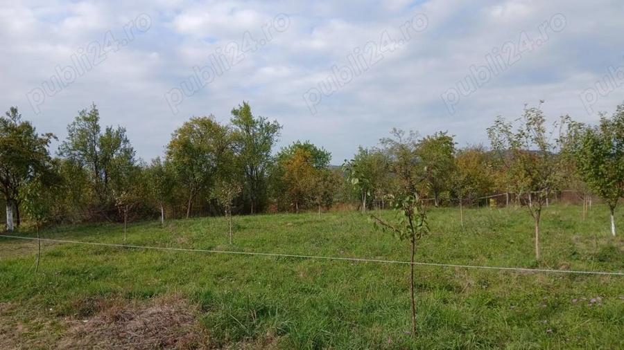 Loc de casa cu livada ?i corp de cladire - 6