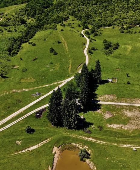 Vand loc de casa in judetul Bihor licalitate Cimp - 2