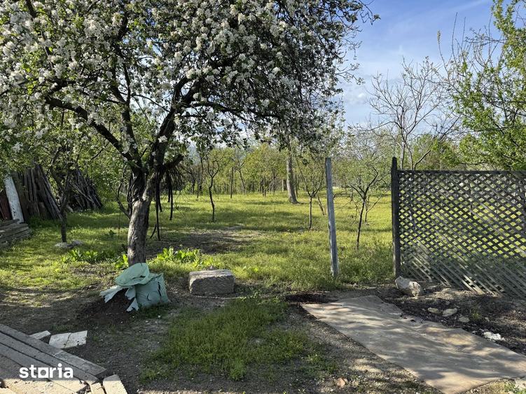 Ulmeni, Buzau, Casa cu pivni?a ?i curte mare in mediul rural - 6