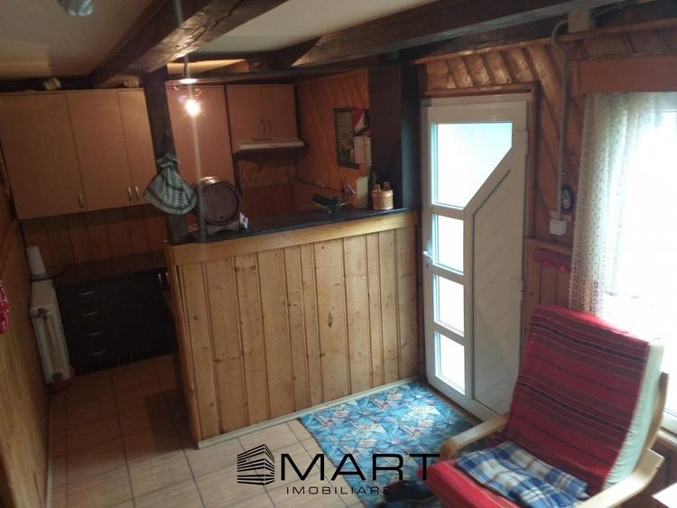 Teren extravilan 7432 mp, cu cabana de lemn Capalna AB - 6