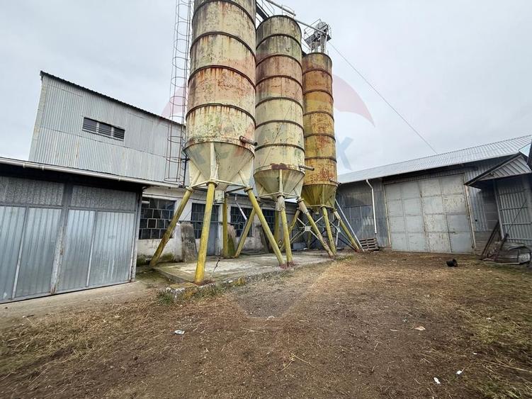 Moara Spatiu Industrial - 1