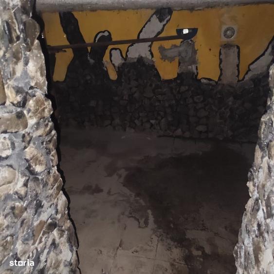 Casa separata cu pivnita si pod utilizabil in mediul rural - 7