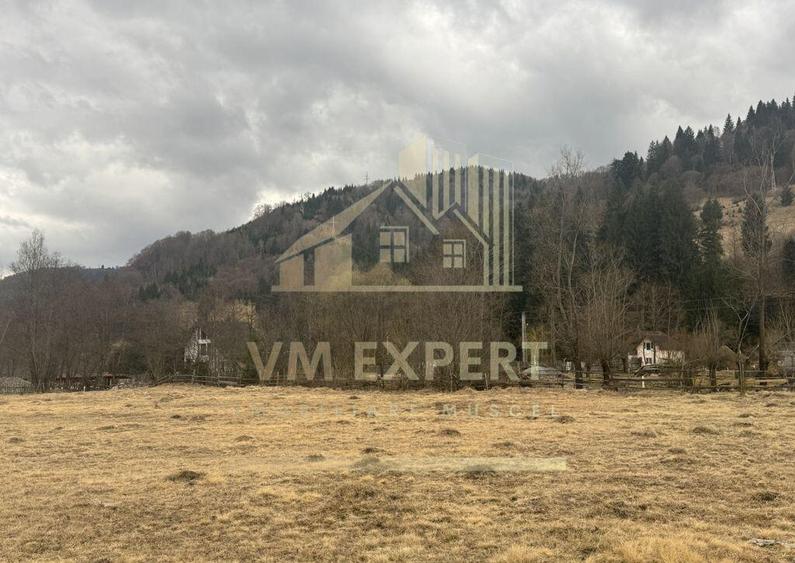 TEREN INTRAVILAN 500 MP SATIC- RUCAR - 6