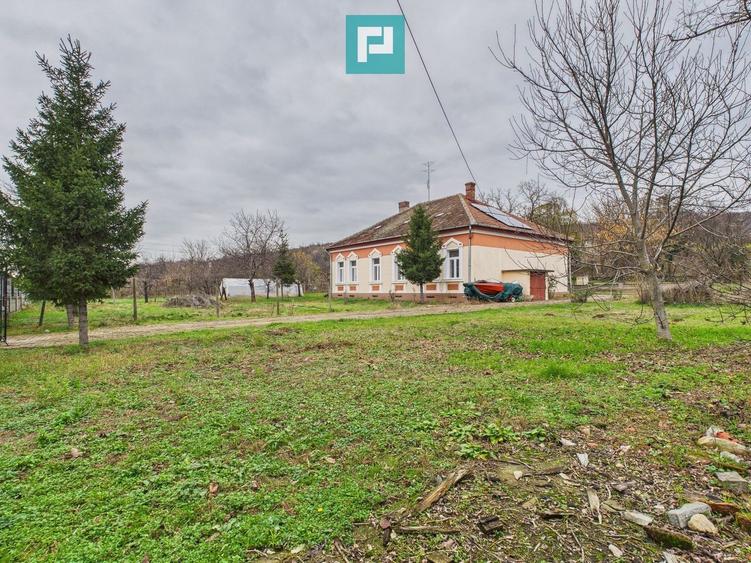 CONAC IMPRESIONANT ÎN GHIOROC - 23