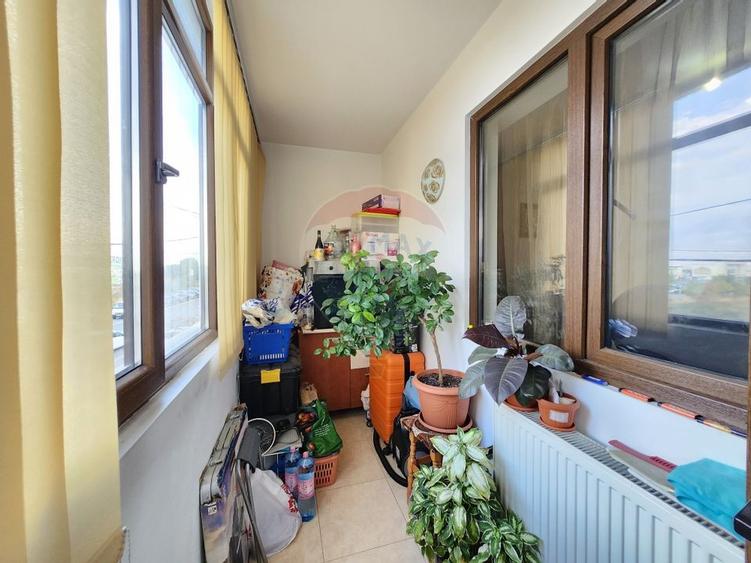 Colosseum, Sos. Chitilei | functional | eficient - 6