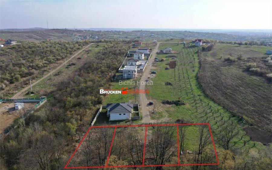 2500 MP | PARCELABIL IN 4 LOTURI DE CASA | ZONA DEALURI 2500 MP | PARCELABIL IN 4 LOTURI DE CASA | ZONA DEALURI