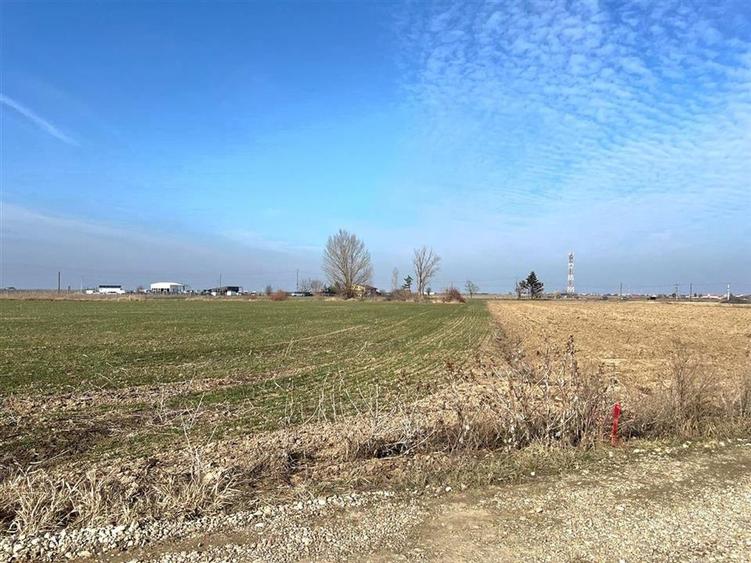 2 PARCELE TEREN INTRAVILAN | 3000mp + 2985mp | NOJORID E671 (OradeaSalonta) | B - 6