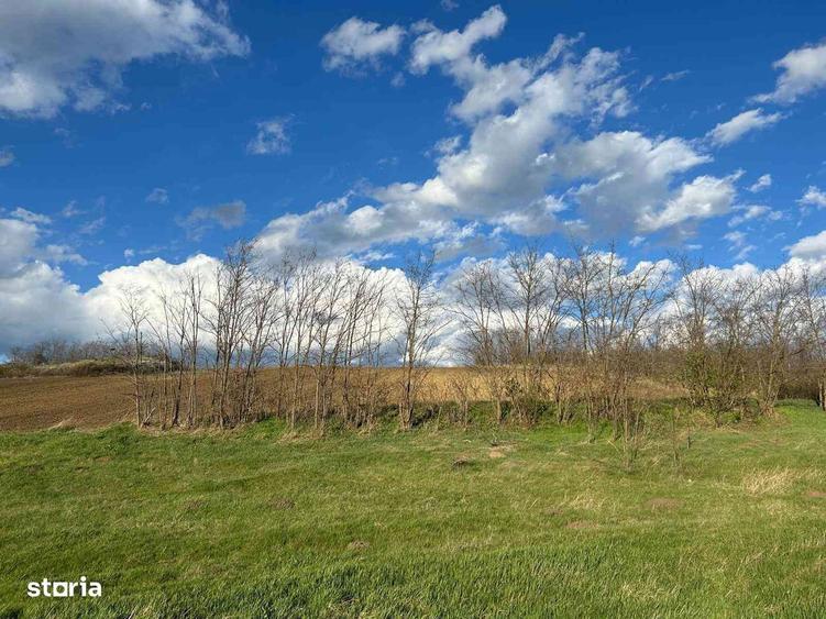 Parcele teren 430 mp extravilan Rediu loturi ideale pt investitie - 3