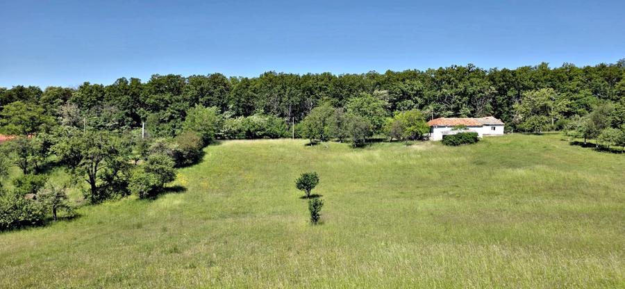 Casa de vanzare si teren de 24000 mp in Fasca, langa padure, 45 km de Oradea - 1