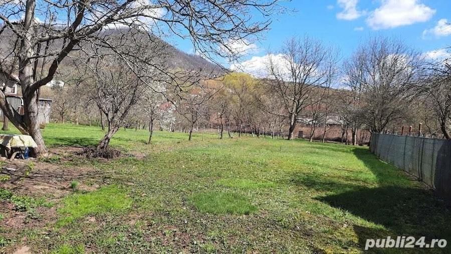 Str. Aurel Vlaicu (Valea Borcutului) - teren intravilan, 20 ari - 2