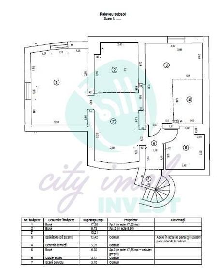 Grădina Icoanei – vilă cu potențial multiplu - 7