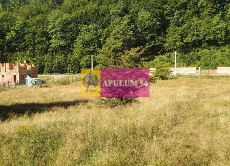 Teren Jude?ul Valcea - Brezoi, Valea lui Stan - 15