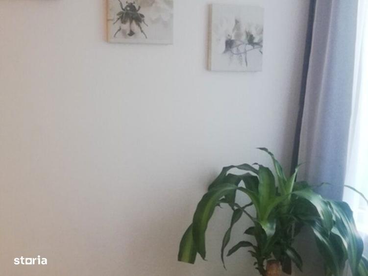 dristor vitan auchan moderna - 4