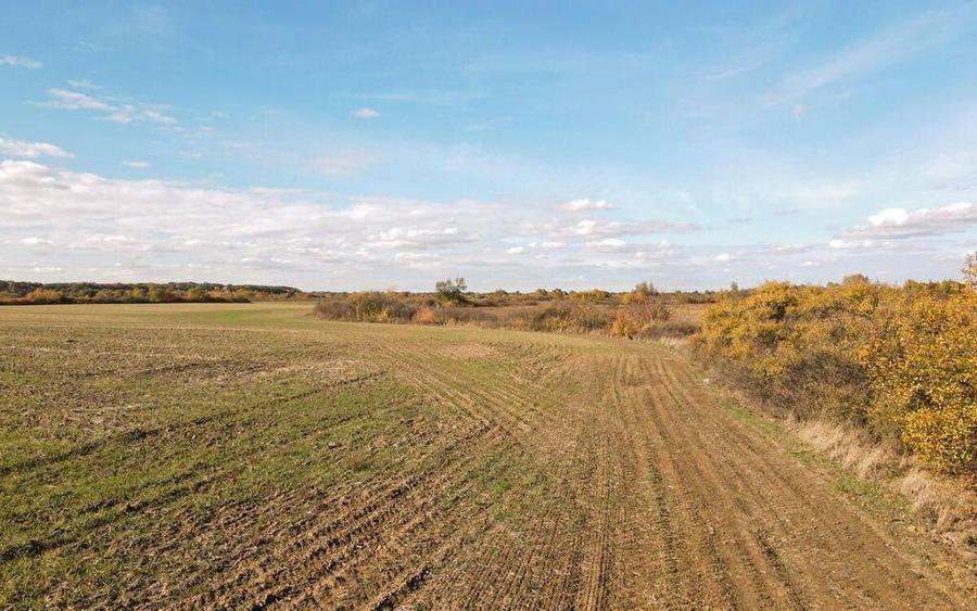 Bucovat - Lot Intravilan 2.27 Ha, PUZ inceput, Rezidentia... - 10