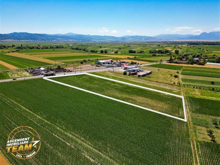 8.400mp, la DN12, cu Certificat Urbanism, teren intravilan, Chichis, Covasna. - 1