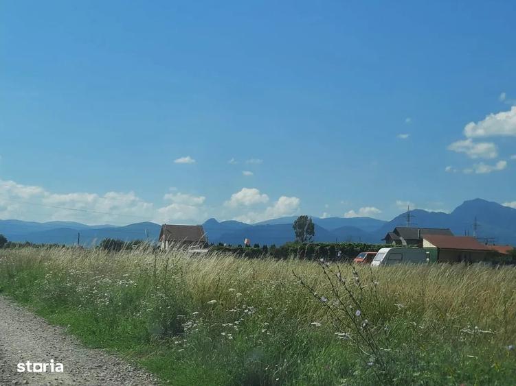 Teren intravilan Harman - 4