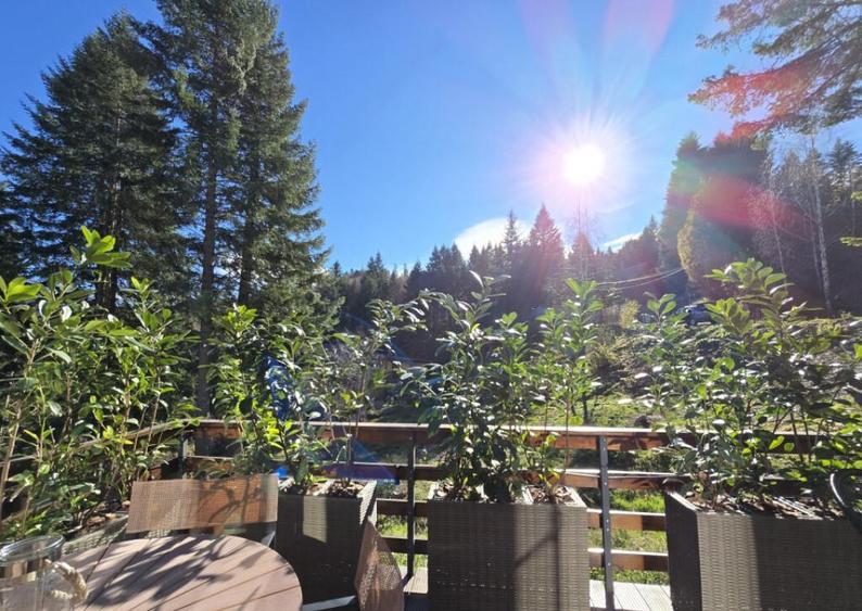 Cabane scandinave premium, vedere catre padure investi - 11