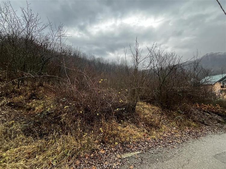 Teren intravilan 653 mp in Boldesti-Scaeni. - 7