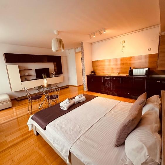 Garsoniera spatioasa in Mamaia de inchiriat - 3