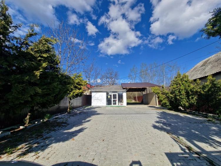 Mioveni - Cosesti - stradal, IDEAL  LOCUINTA/SPATIU COMERCIAL - teren 1250 mp