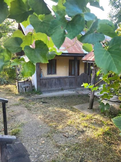 Godinesti, satul Ratez - 1