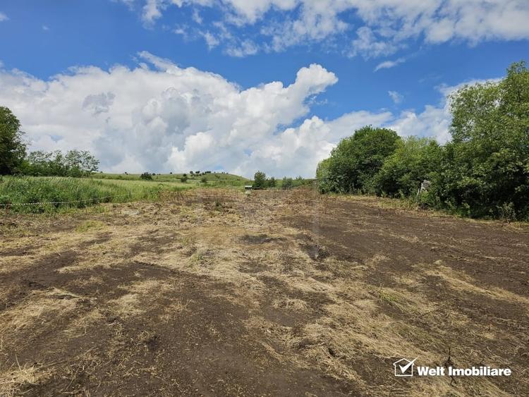 Teren intravilan| front la drum asfaltat| Rediu - 1