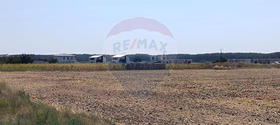 Teren 650mp Ghermanesti / Strada Milcov - 7